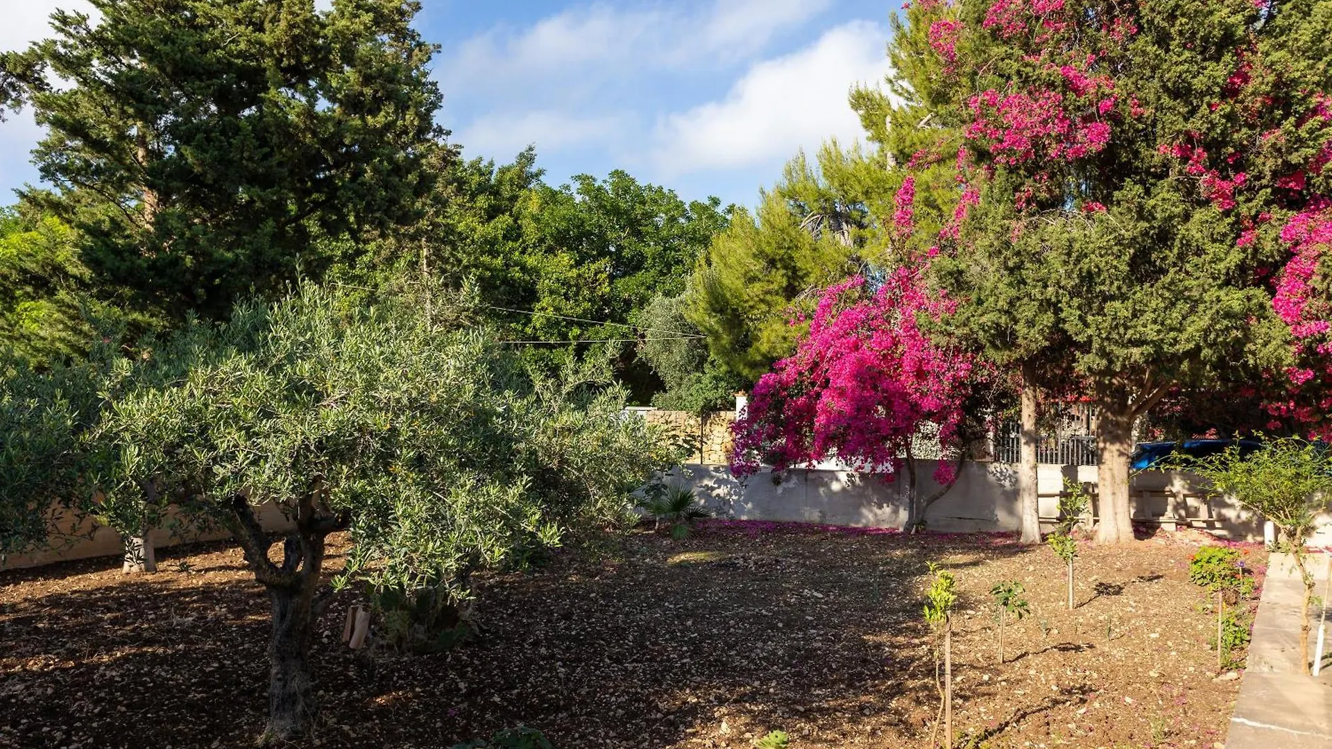 Holiday home Vacanze Lido Valderice Italy
